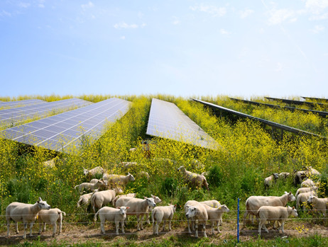 Comment les exploitations agricoles bénéficient-elles de l'énergie solaire ?